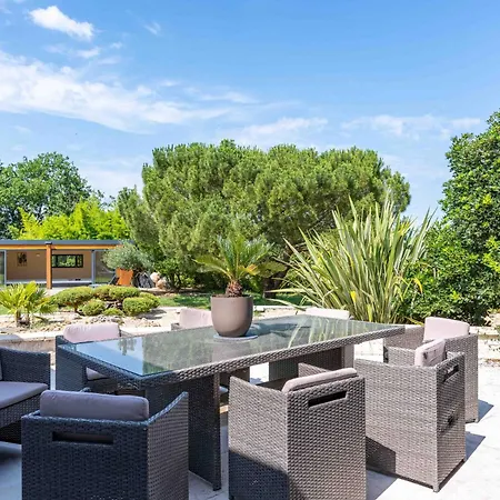 Jacuzzi - De Nage - Parc Arbore Montaigu-de-Quercy