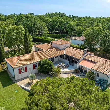 Tatil Evi Jacuzzi - De Nage - Parc Arbore Montaigu-de-Quercy